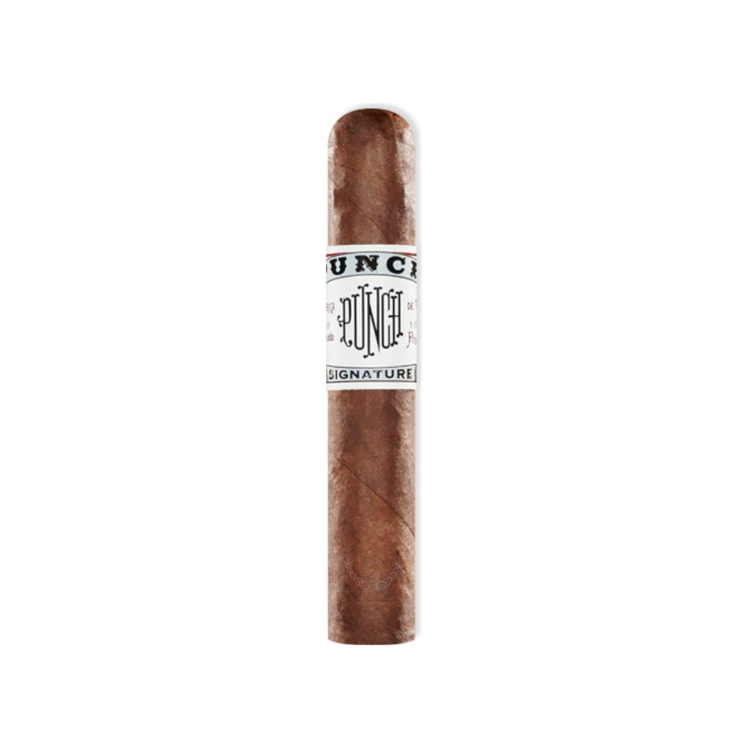 Punch Signature Robusto